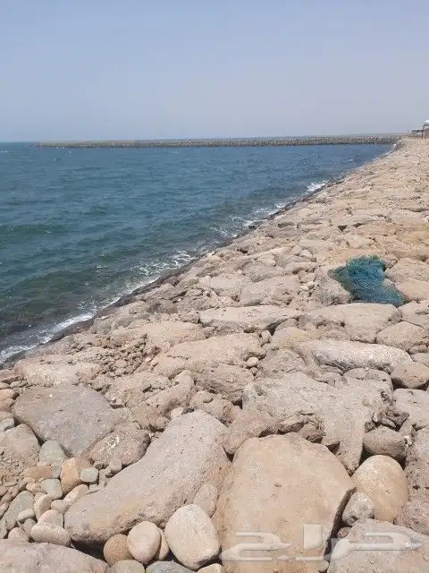 بوكلين شغل خجر أفغاني 7