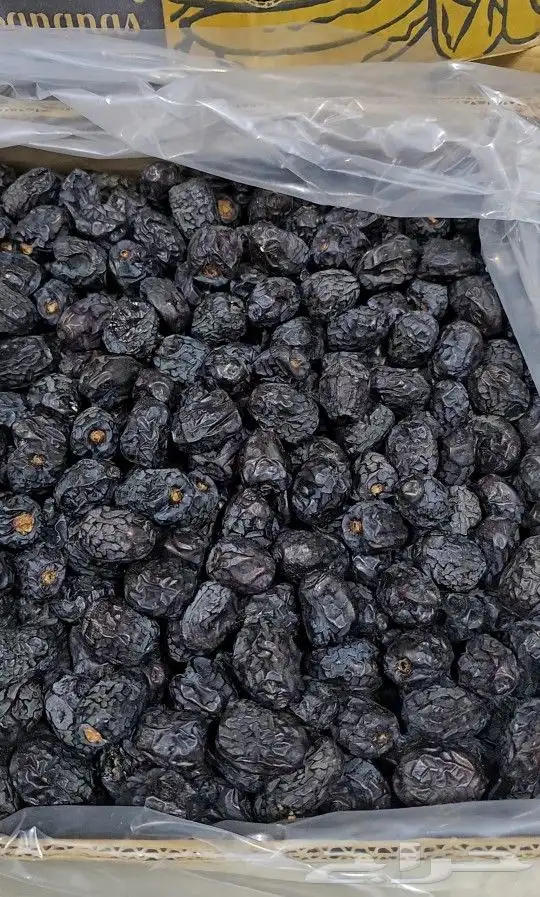 عجوة المدينة المنورة 0