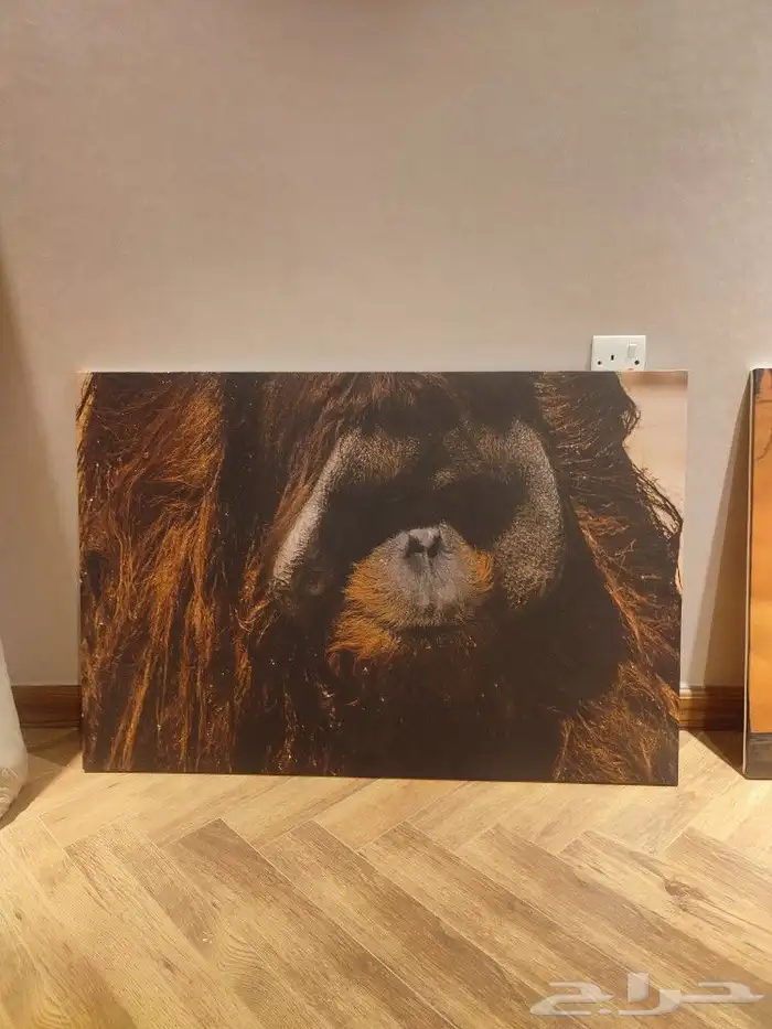 طباعة لوحات كانفس طباعة لوحات جدران 1