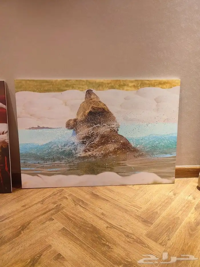 طباعة لوحات كانفس طباعة لوحات جدران 3