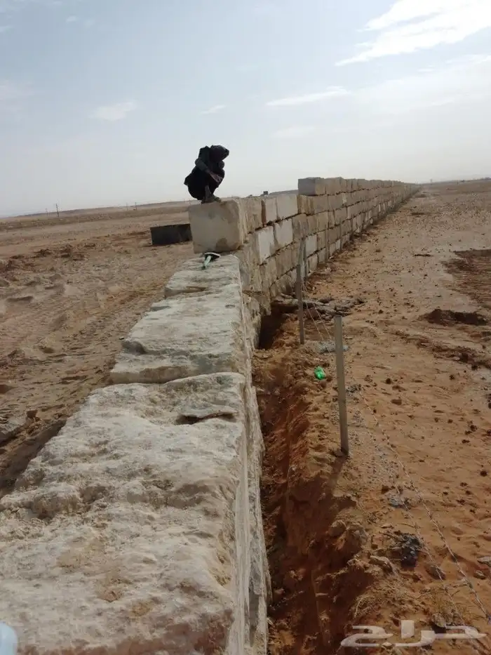 نقوم بتنفيذ الشبوك ونخيل والشغال الحجر الطبيعي وتوريد نخيل و 10