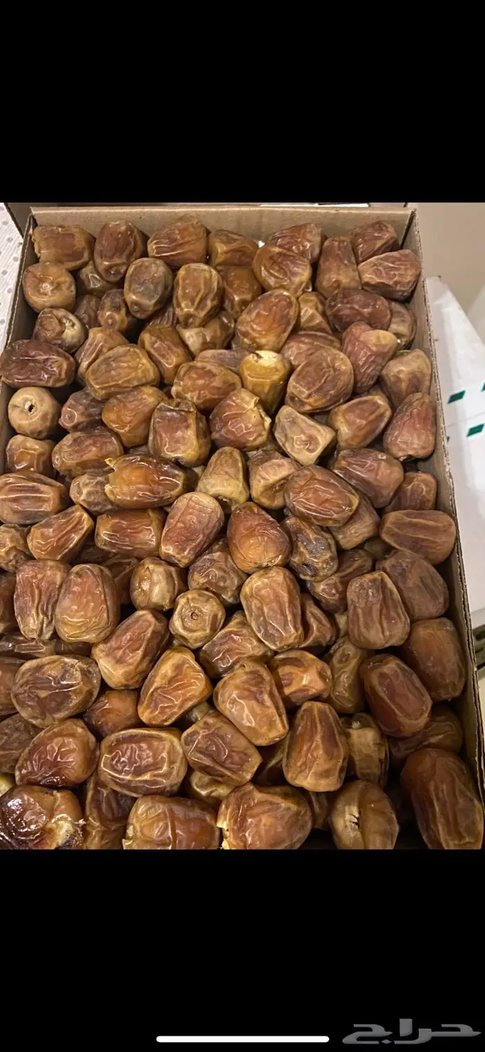 تمر خلاص القصيم 5