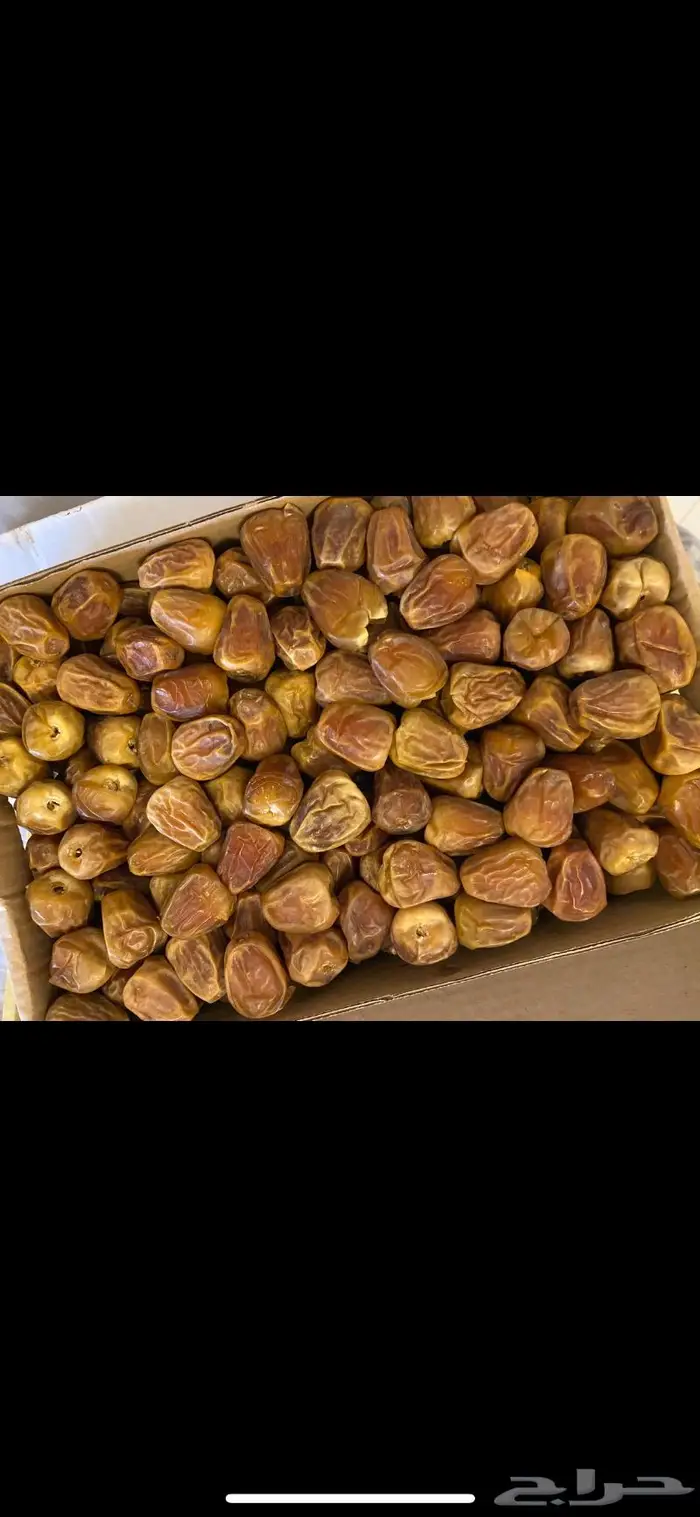 تمر خلاص القصيم 6