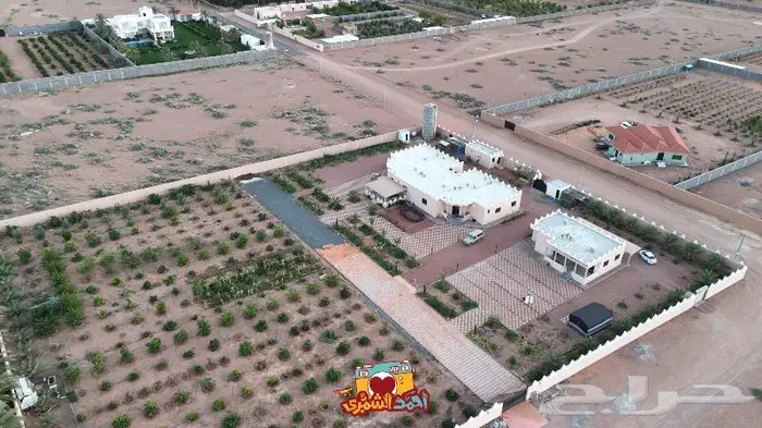 تصوير جوي احترافي للاستراحات والمزارع 0