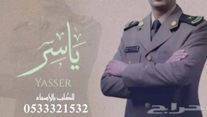 منشد شيلات شاعر جزل 0