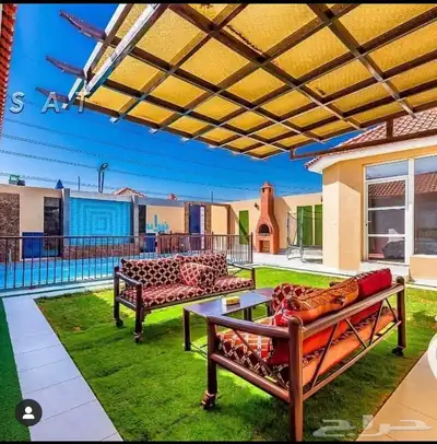 كراسي 21