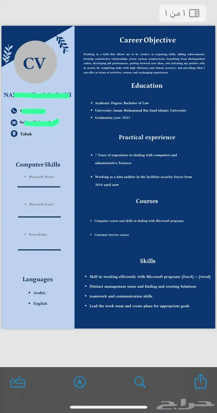 سيرة ذاتية احترافية 16