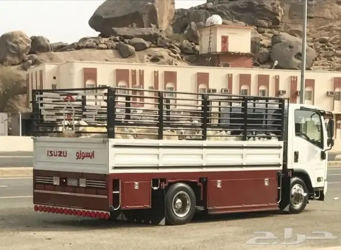 دينه العلا ديانا 0