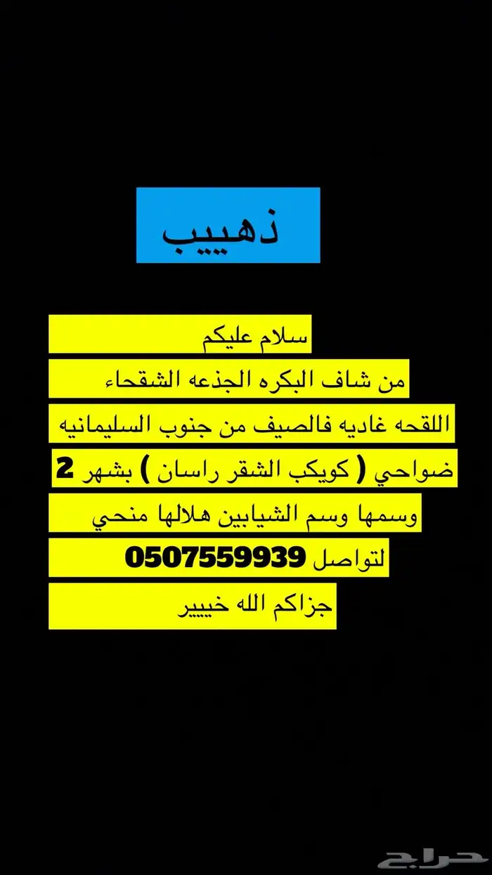 ذهيب 0