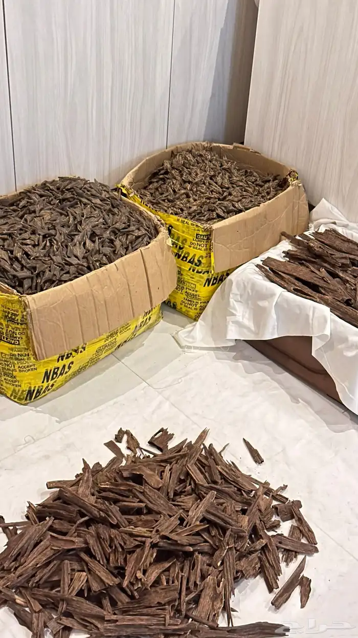 عود طبيعي كفو نوادر ومقتنيات قديمه 9