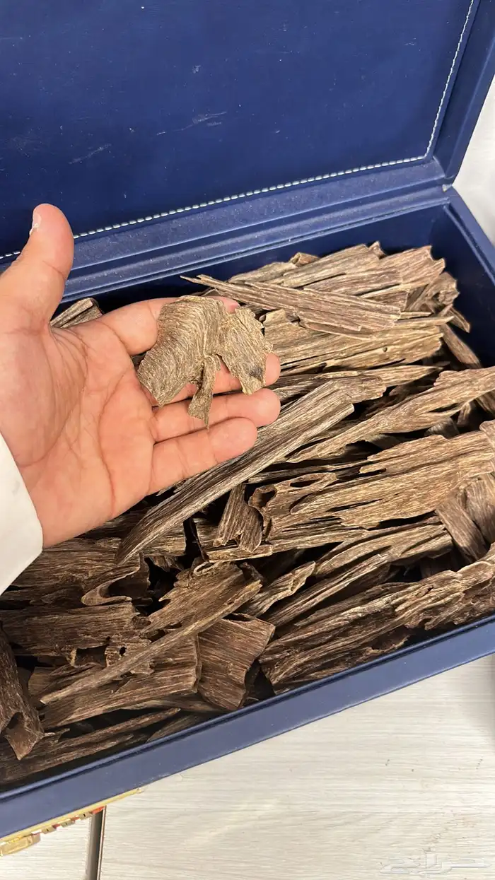 عود طبيعي كفو نوادر ومقتنيات قديمه 8