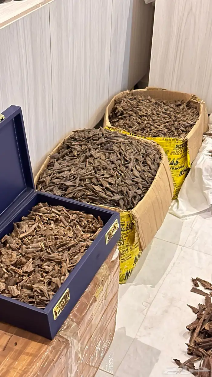 عود طبيعي كفو نوادر ومقتنيات قديمه 10