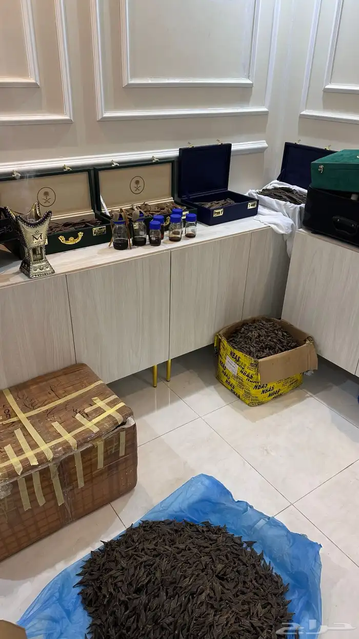 عود طبيعي كفو نوادر ومقتنيات قديمه 13