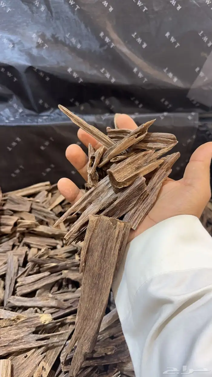 عود طبيعي كفو نوادر ومقتنيات قديمه 6