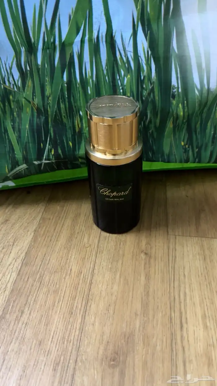عطورت مطار دساتر اصليه بدون كرتون سعرنا بربع قايمه 37