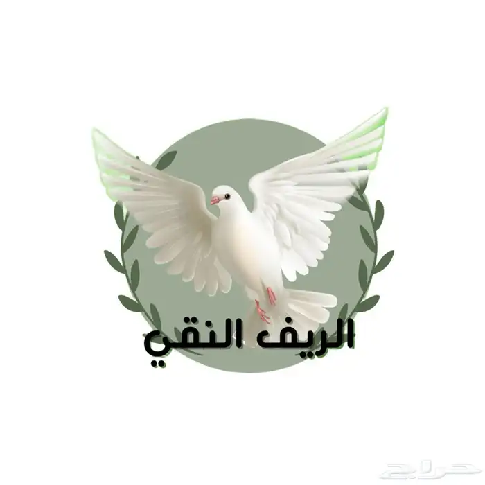زغاليل - دجاج - بيض بلدي - سمان - بط بكين 0