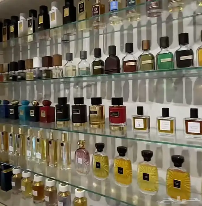عطورت مطار دساتر اصليه بدون كرتون سعرنا بربع قايمه 7