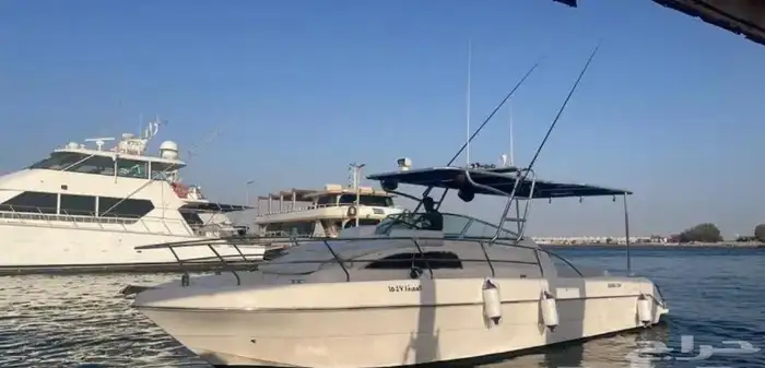 رحلات جزيرة بياضة بيبي يخت 1