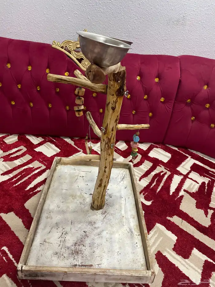 إستاند ببغاء 1