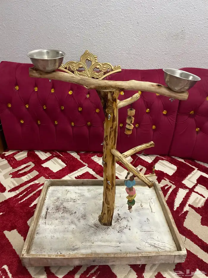 إستاند ببغاء 2