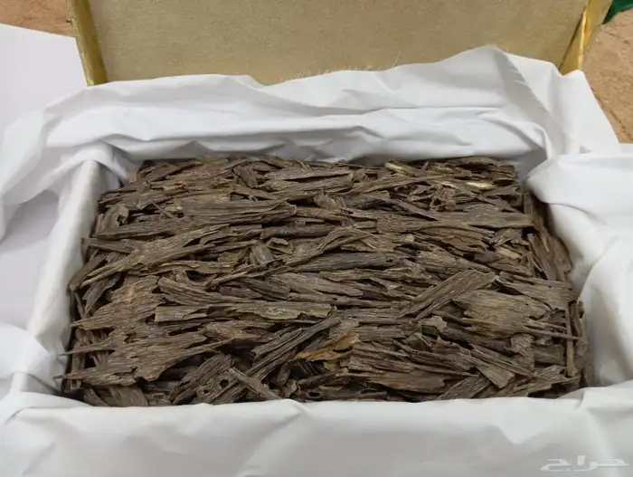 عود طبيعي كفو نوادر ومقتنيات قديمه 16