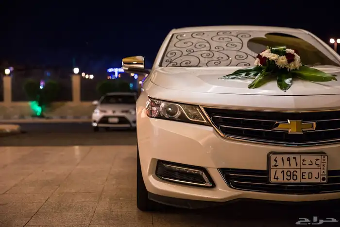 مصورين المدينة 12