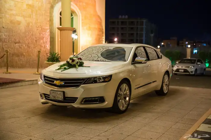 مصورين المدينة 13