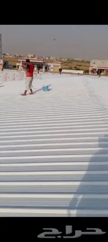 القنفذة والمخواه 4