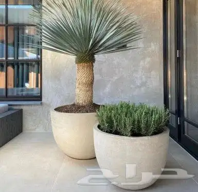 احواض زراعية 8