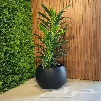 احواض زراعية 4