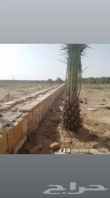 نعمل في جميع اشغال انخيل 5
