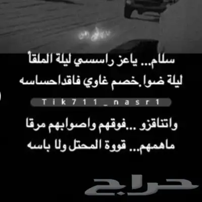 سباك وكهربائي 3