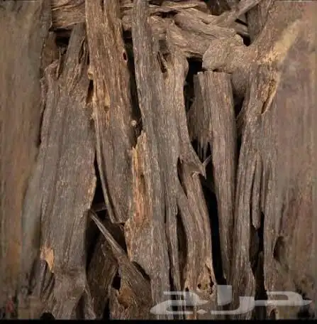 عود طبيعي كفو نوادر ومقتنيات قديمه 15