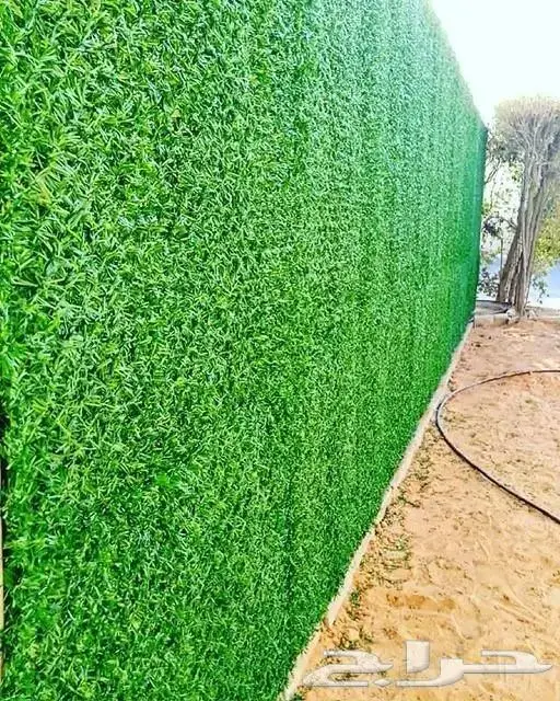 شبك الساتر السياج الأخضر 3