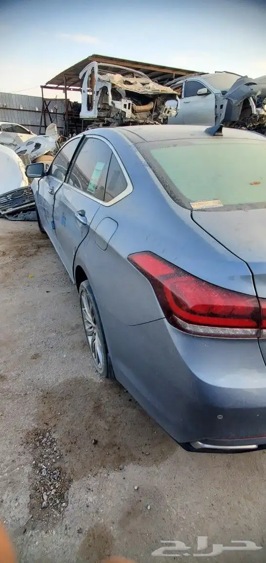 جينسس 2018 3
