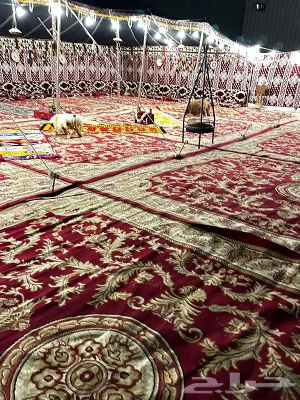 ليالي الحفلات والمناسبات 2