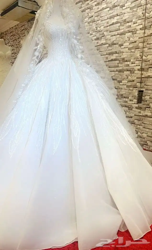 فساتين ايجار 2