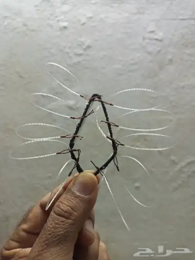 شبك لصيد الصقور 1