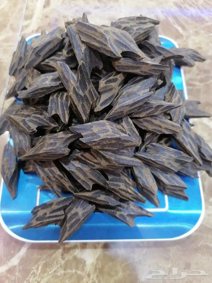 عود التايقر الكمبودي والمعروف لا يعرف ثبات وزباد وريحه 0