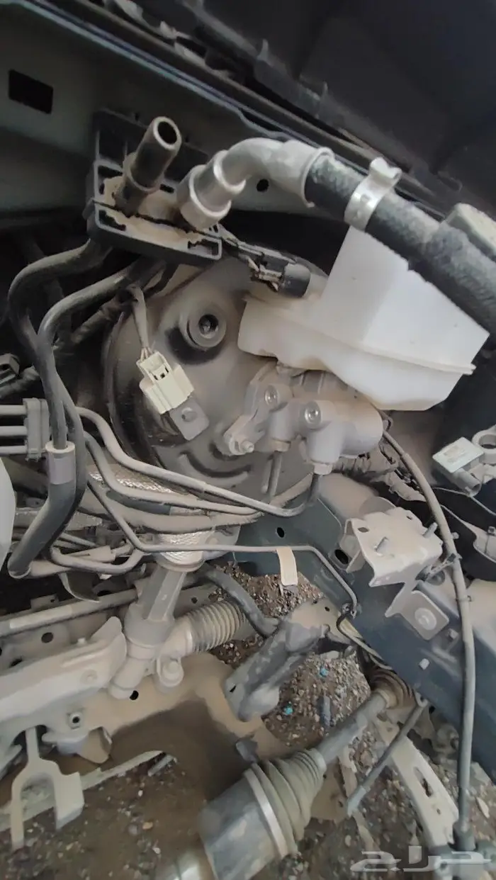 دوده تورس 2023-2024 1