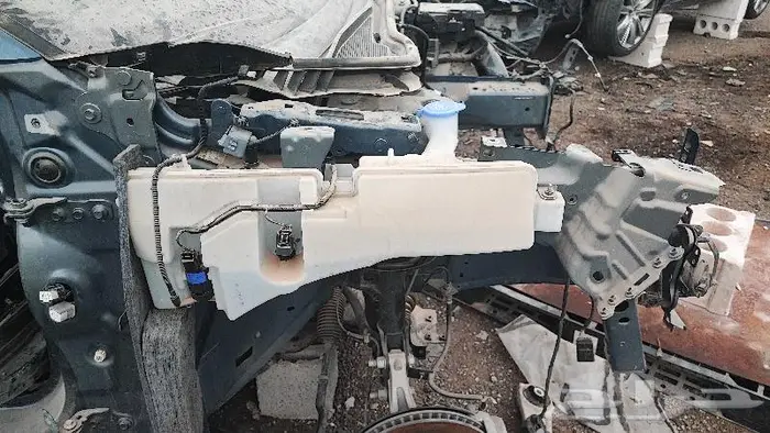 دوده تورس 2023-2024 5