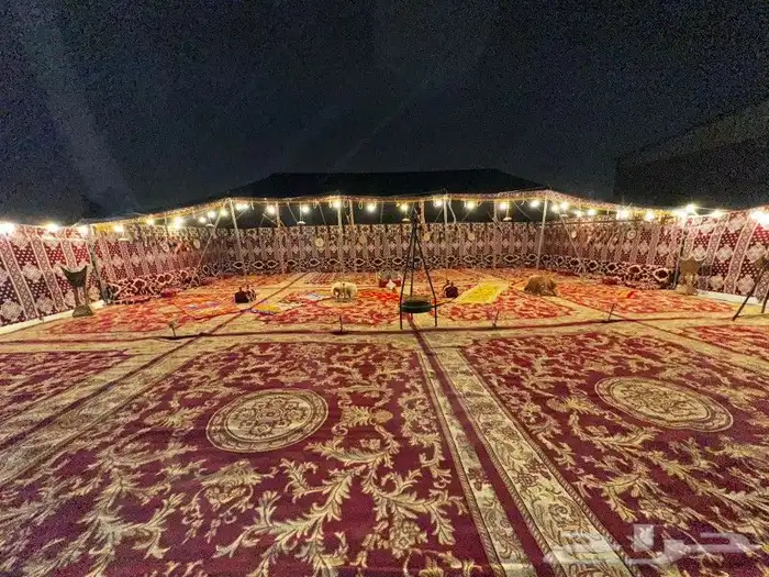 ليالي الحفلات والمناسبات 3