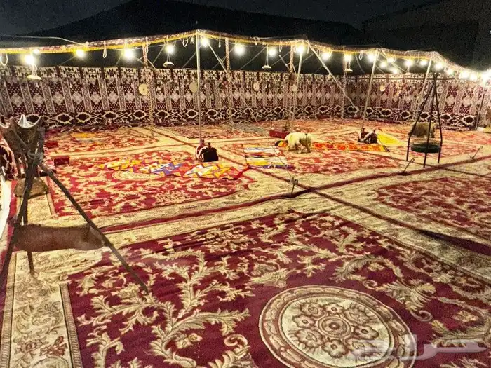 ليالي الحفلات والمناسبات 1