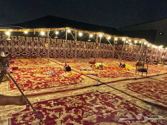 ليالي الحفلات والمناسبات 0