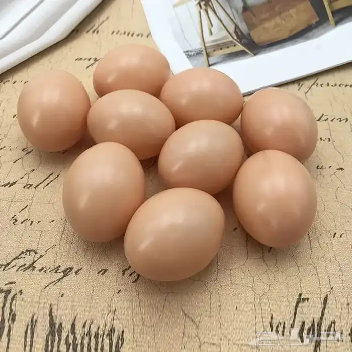 بيض لجميع انواع الدجاج والبط والرومي 0