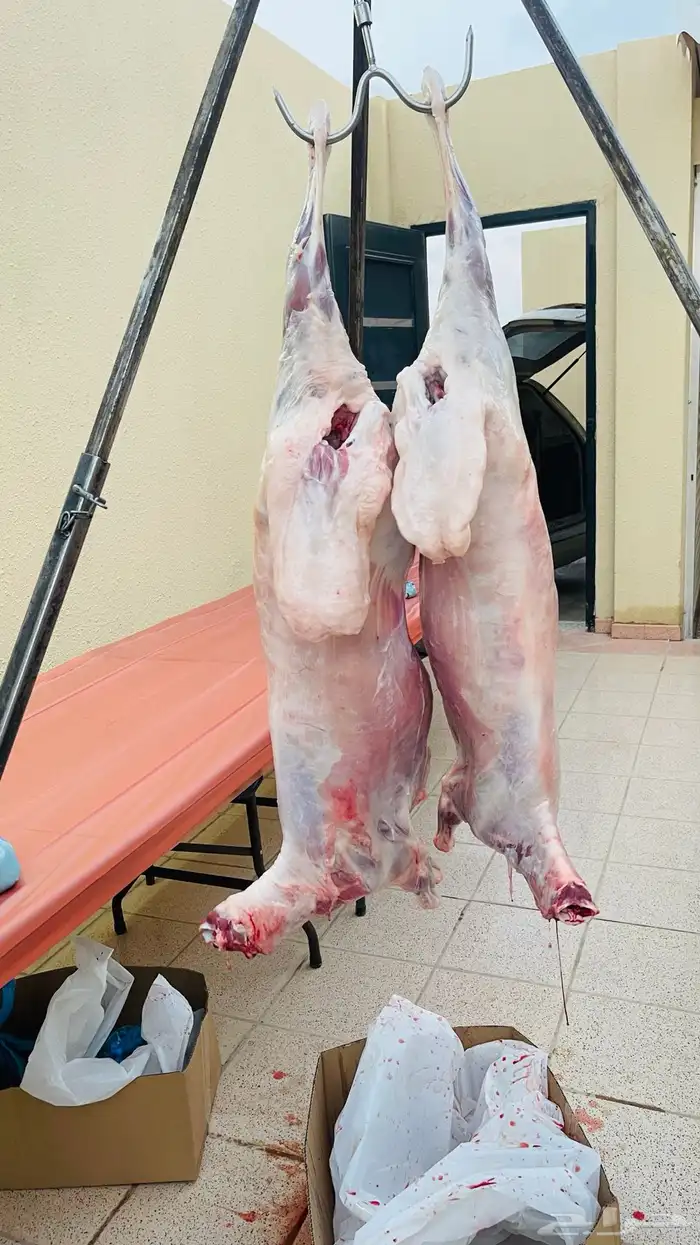 شيف مشويات خارجيه مشاوي خارجيه شواء 5