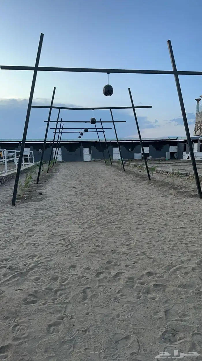 تدريب ركوب خيل 4