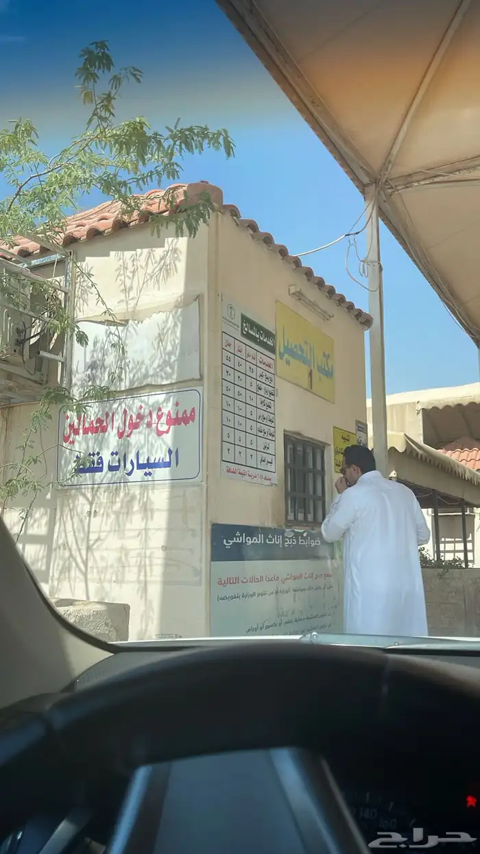 بيع خرفان متوفر تقسيط تابي وتمارا 6