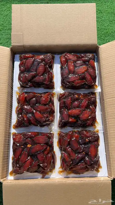 تمر صفري اشعل كفو 1