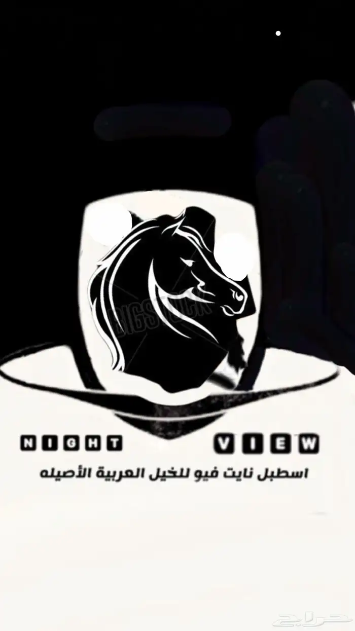 تدريب ركوب خيل 1